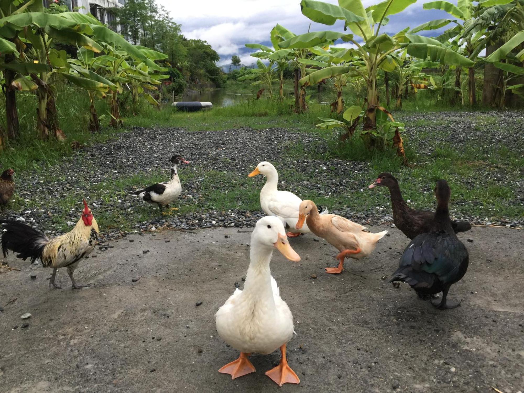 Beautiful Yilan Resort Dongshan  Esterno foto