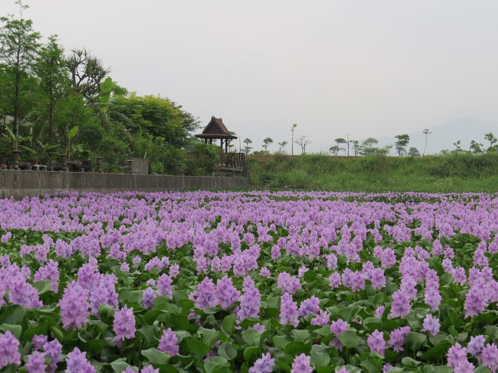 Beautiful Yilan Resort Dongshan  Esterno foto