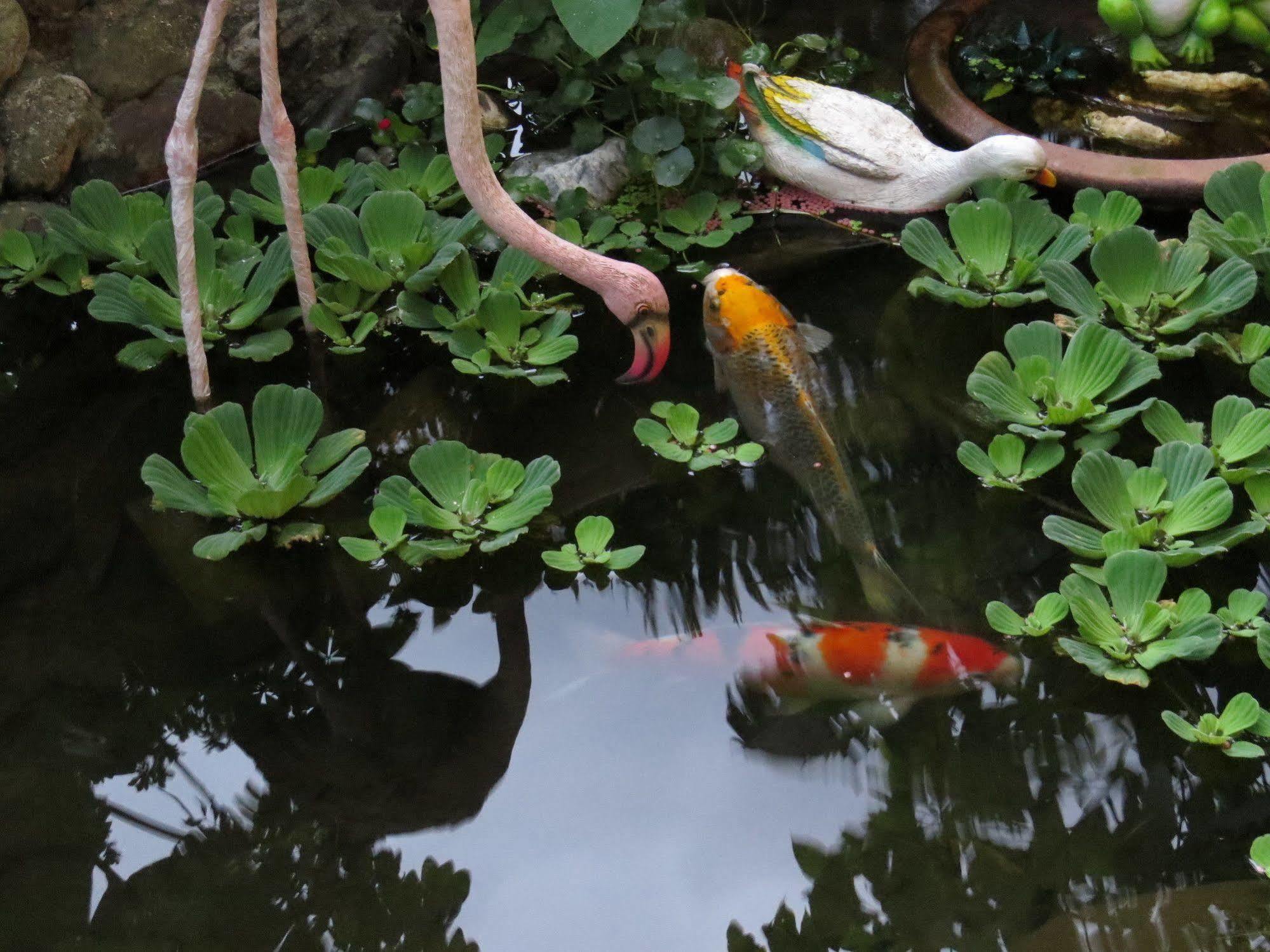 Beautiful Yilan Resort Dongshan  Esterno foto